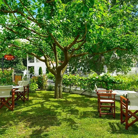 阿尼莫斯一室公寓式酒店